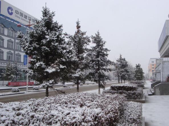 漠河包一天车多少钱