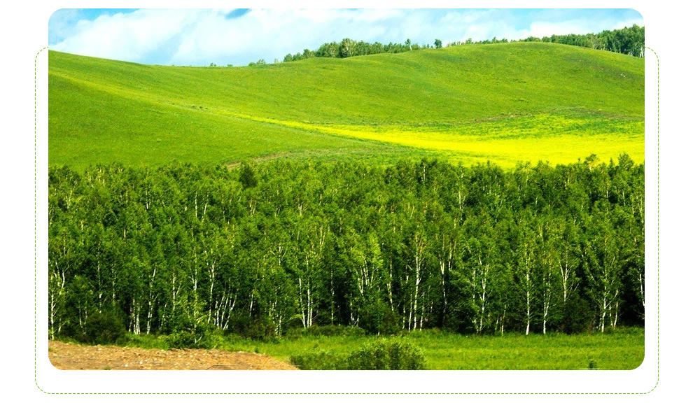 夏_2024呼伦贝尔_26