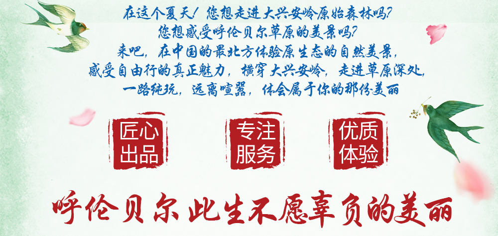 夏_2024呼伦贝尔_03